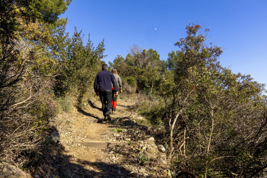 sentier du jonquet la seyne