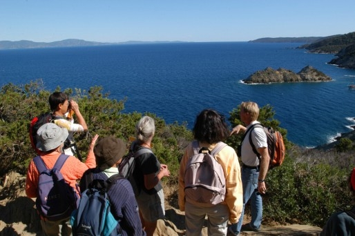 Le Sentier du littoral Port-Cros