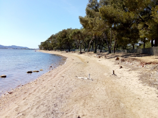 Site des Vieux Salins après travaux @ Matthieu Lascève