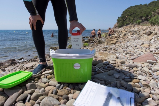Surveillance de la qualité des eaux de baignades