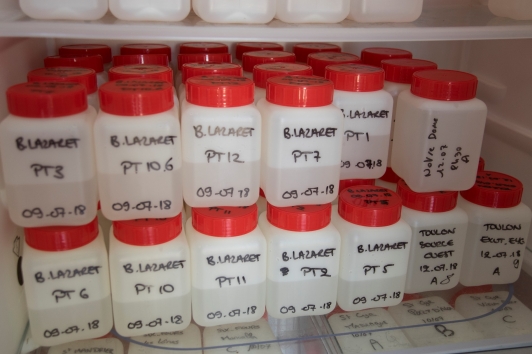 Surveillance de la qualité des eaux de baignades