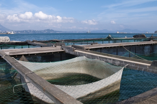 Aquaculture