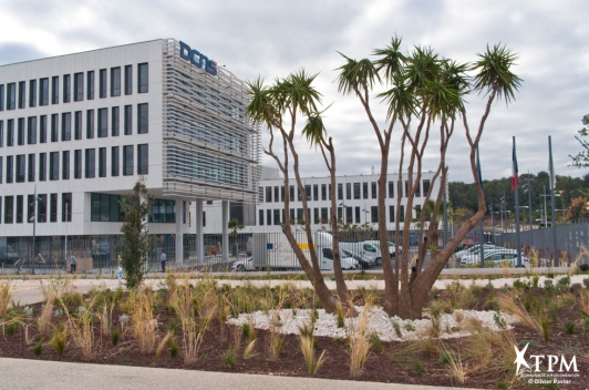 DCNS