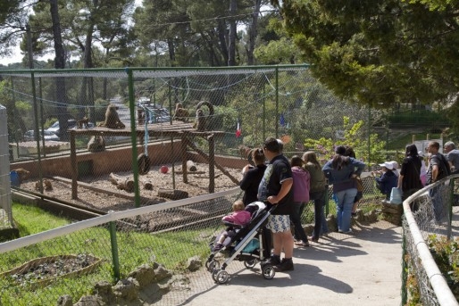 Toulon - Zoo du Mont Faron