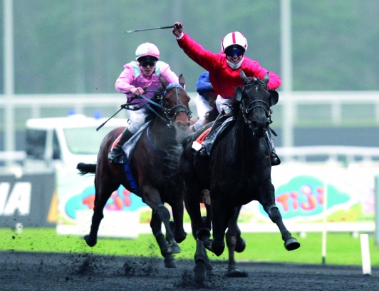 trot monté ©Hippodrome de Hyères