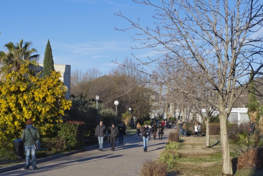 Université de Toulon