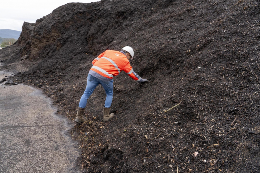 et le sapin devient compost
