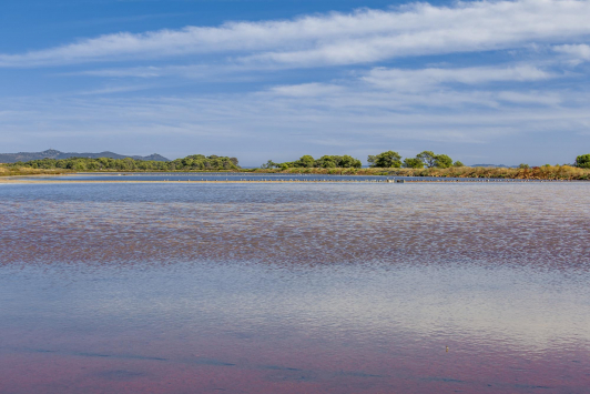 Vieux salins Hyères
