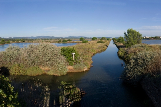 Vieux salins