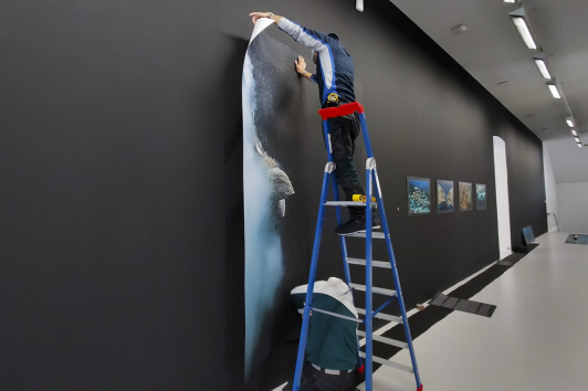 Accrochage de l'exposition