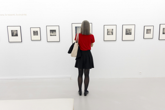 Exposition Flore, Le temps du souvenir, Le temps du souvenir/ Villa Tamaris