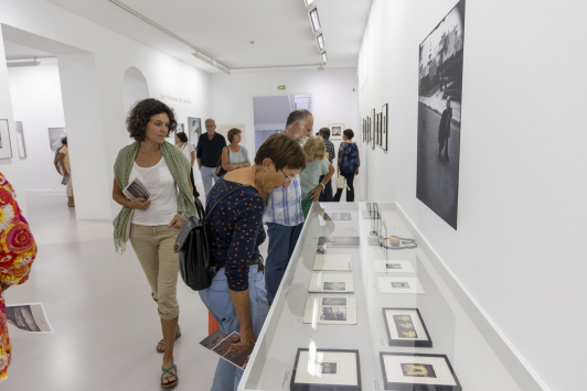 Exposition Flore, Le temps du souvenir, Le temps du souvenir/ Villa Tamaris