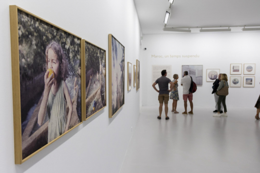 Exposition Flore, Le temps du souvenir, Le temps du souvenir/ Villa Tamaris