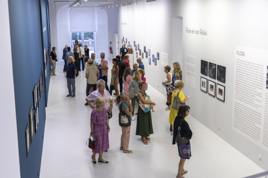 Exposition Flore, Le temps du souvenir, Le temps du souvenir/ Villa Tamaris