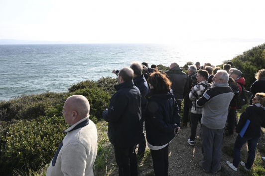 Visite Pointe Esterel de la Presqu’île de Giens ©Ville de Hyères