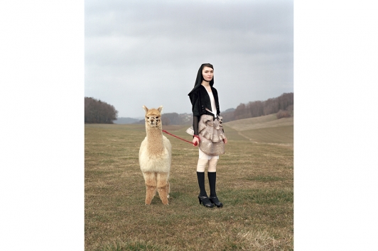 Photographie Yann Gross