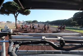 Course ©Hippodrome de Hyères