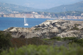 L'île aux fleurs