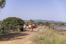 Fête des Salins d'Hyères 