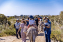 Fête des Salins d'Hyères