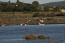 Les Vieux Salins