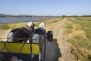 Balade en calèche aux Salins