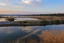 Salins Hyères