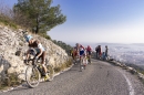 Les coureurs du Tour du Haut-Var dans la montée du Faron