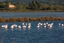 Vieux Salins