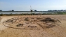 Fête de la nature aux Salins 2018