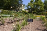 Jardin remarquable de Baudouvin