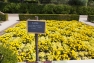 Jardin remarquable de Baudouvin