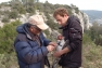 Balisage Aigle de Bonelli ©Matthieu Lascève