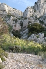 Falaise éboulis de calcaire au Baou de Quatre Ouro