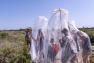 Fête de la Nature 2022 - Vieux salins d'Hyères