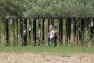 Le labyrinthe scintillant "Path of Emotions" de Jeppe Hein