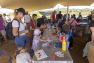 Fête de la Nature aux vieux salins