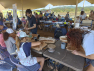 Fête de la Nature 2024 - Vieux Salins d'Hyères