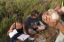 Salins baguage des goélands