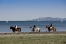 Littoral de la rade d'Hyères