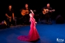 Nuits Flamencas à Châteauvallon