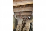 Travaux foyer Campra