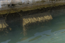 Nurserie -Ports de plaisance de la rade de Toulon