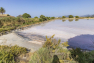 Les Salins d'Hyères - Récolte du sel