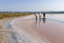 Les Salins d'Hyères - Récolte du sel