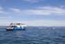 Sailing World Cup
