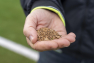 Broyat de noyaux d'olives - travaux terrain de foot / Stade Leo Lagrange