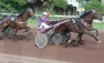 Trot attelé à la bagarre ©Hippodrome de Hyères