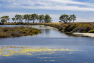 Les Vieux Salins à Hyères