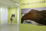 Les Açores, un jardin sur l'Atlantique - Villa Tamaris